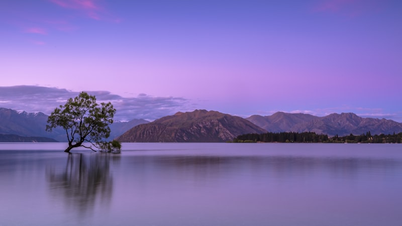 Mountain trail through misty Chinese mountains where Gladys Aylward led children to safety