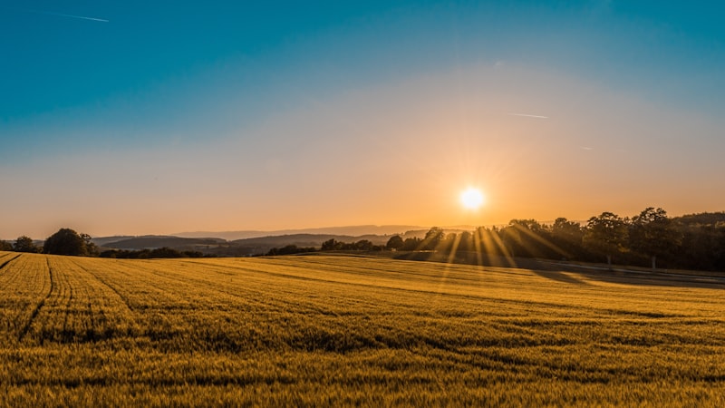 Golden sunset over a field evoking prayer for the nations