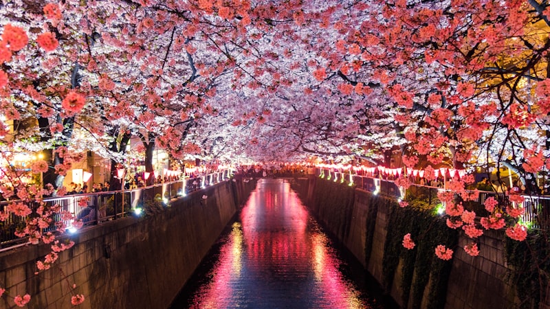 Colorful landscape of India where William Carey translated the Bible