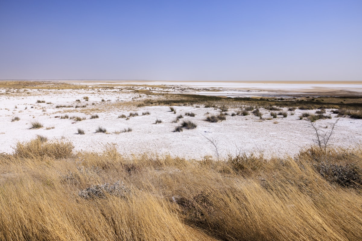 Fulani family in Nigeria